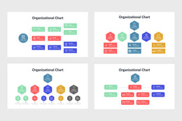 PPT Organizational Chart Infographics Templates for PowerPoint, Keynote, Google Slides, Adobe Illustrator, Adobe Photoshop
