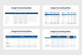 Budget Forecasting Infographics