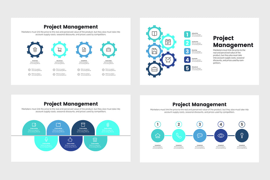 Project Management Infographic Project Management Vs Programme