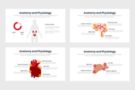 PPT Anatomy and Physiology Infographics Templates for PowerPoint, Keynote, Google Slides, Adobe Illustrator, Adobe Photoshop
