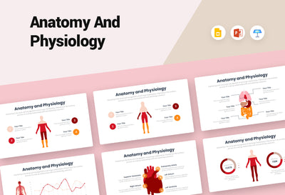 Anatomy and Physiology Infographics