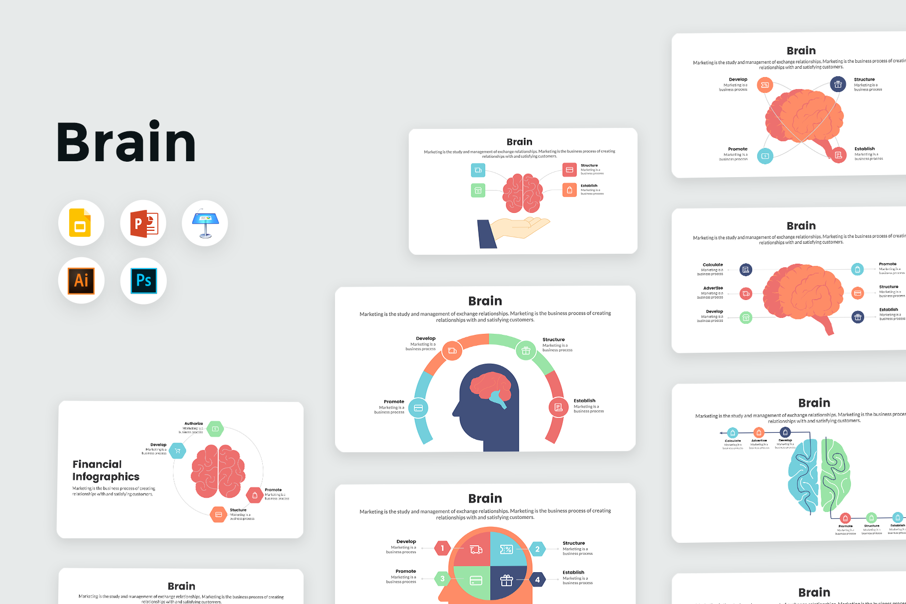 Brain Infographics – infograpify