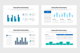 Executive Summary Infographics