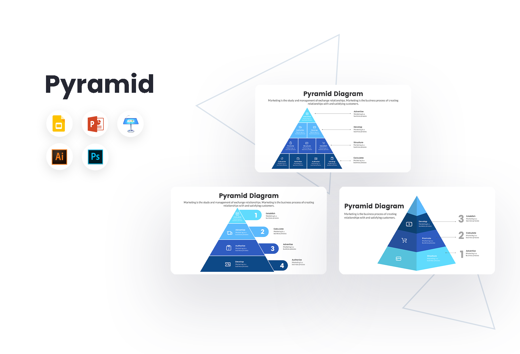 Food Chain Pyramid Template