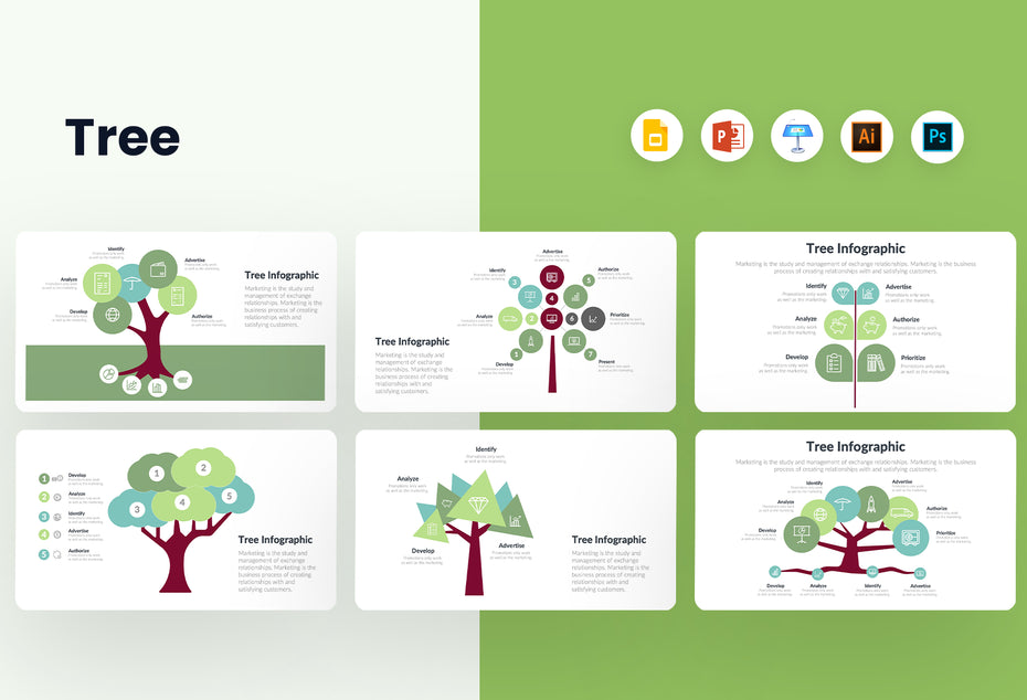 PPT Tree Infographics Templates for PowerPoint, Keynote, Google Slides, Adobe Illustrator, Adobe Photoshop